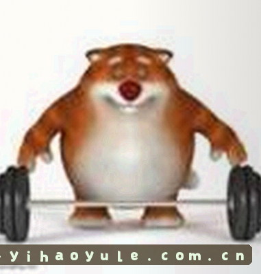 晓晓